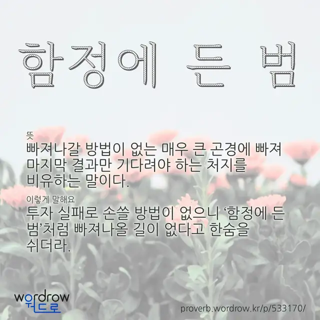 “함정에 든 범” 글씨와 뜻·예문이 완성된 속담 영상 포스터