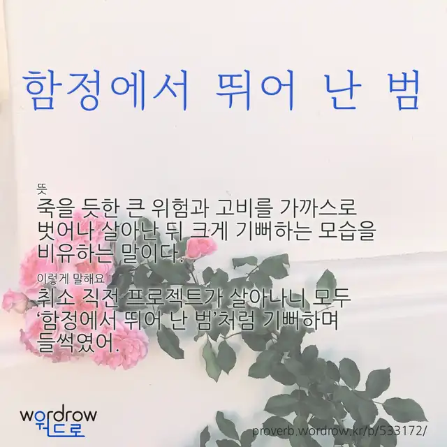 “함정에서 뛰어 난 범” 글씨와 뜻·예문이 완성된 속담 영상 포스터