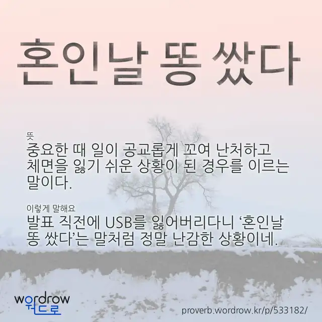 “혼인날 똥 쌌다” 글씨와 뜻·예문이 완성된 속담 영상 포스터