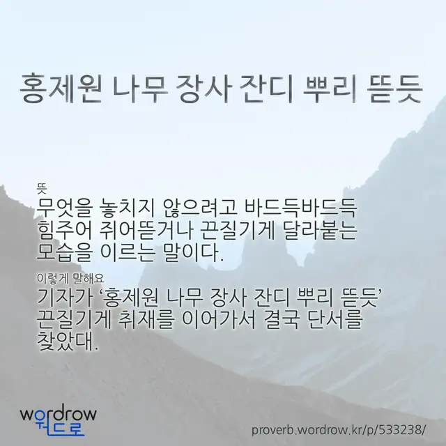 “홍제원 나무 장사 잔디 뿌리 뜯듯” 글씨와 뜻·예문이 완성된 속담 영상 포스터