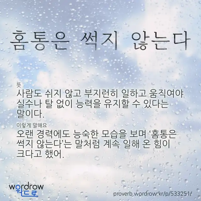 “홈통은 썩지 않는다” 글씨와 뜻·예문이 완성된 속담 영상 포스터