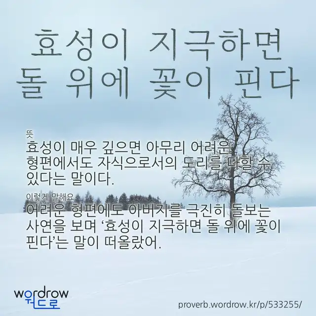 “효성이 지극하면 돌 위에 꽃이 핀다” 글씨와 뜻·예문이 완성된 속담 영상 포스터