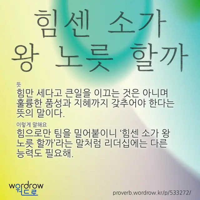 “힘센 소가 왕 노릇 할까” 글씨와 뜻·예문이 완성된 속담 영상 포스터