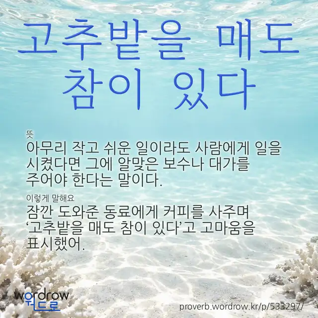 “고추밭을 매도 참이 있다” 글씨와 뜻·예문이 완성된 속담 영상 포스터