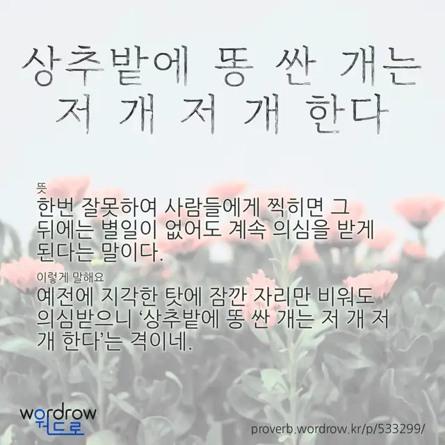 “상추밭에 똥 싼 개는 저 개 저 개 한다” 글씨와 뜻·예문이 완성된 속담 영상 포스터