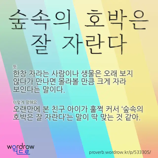 “숲속의 호박은 잘 자란다” 글씨와 뜻·예문이 완성된 속담 영상 포스터