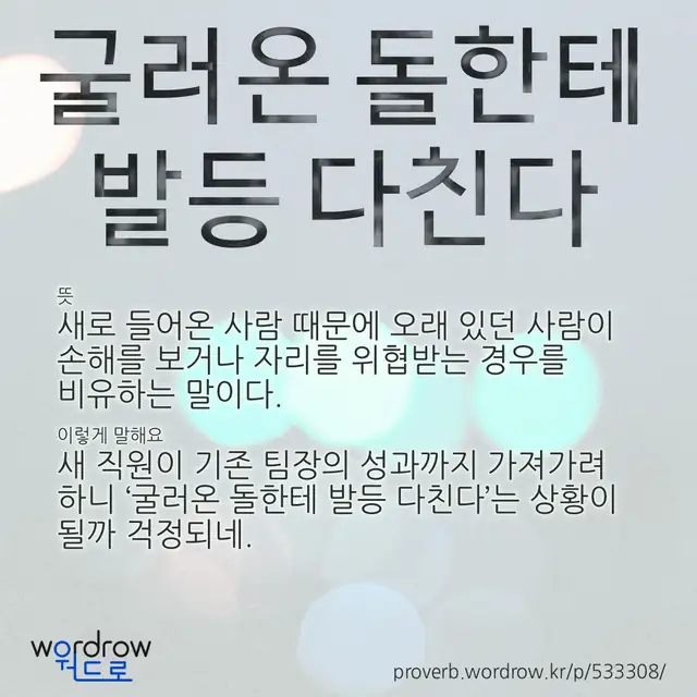 “굴러온 돌한테 발등 다친다” 글씨와 뜻·예문이 완성된 속담 영상 포스터